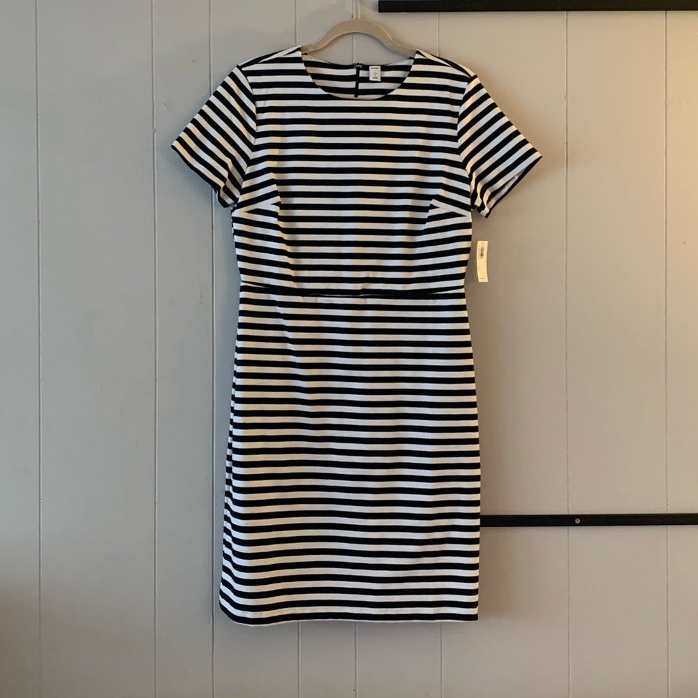 NWT Old Navy Striped Dress